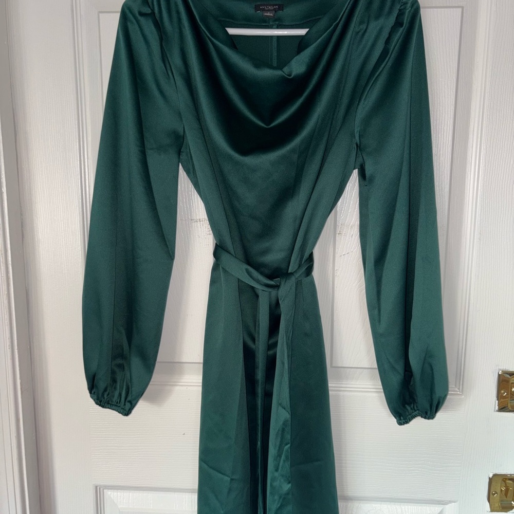 Ann Taylor Forest Green Long Sleeve Dress